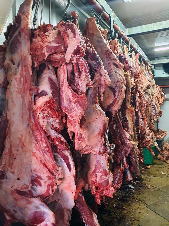 الاغاثة 48: جمع 20 طنًا من لحوم الأضاحي من النقب وتوزيعها على العائلات المستورة في مجتمعنا العربي